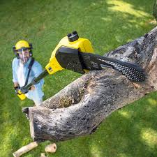 Grass Overseeding in Germantown, WI