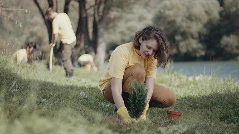 Best Lawn Disease Treatment  in Germantown, WI