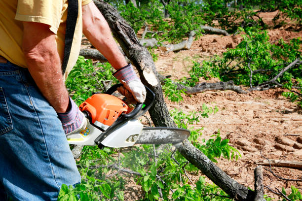 Reliable Germantown, WI Tree Removal Solutions